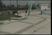 6133270_m.gif